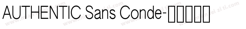 AUTHENTIC Sans Conde字体转换